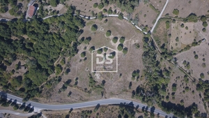 Terreno R�stico T0 - Trancoso, Trancoso, Guarda - Miniatura: 5/7