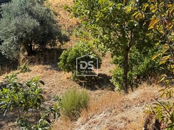 Quinta T0 - Vela, Guarda, Guarda - Miniatura: 7/19