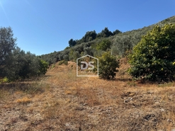 Quinta T0 - Vela, Guarda, Guarda - Miniatura: 8/19