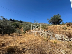 Quinta T0 - Vela, Guarda, Guarda - Miniatura: 9/19