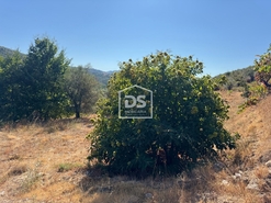 Quinta T0 - Vela, Guarda, Guarda - Miniatura: 11/19