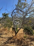 Quinta T0 - Vela, Guarda, Guarda - Miniatura: 13/19