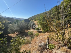 Quinta T0 - Vela, Guarda, Guarda - Miniatura: 14/19