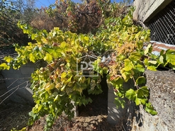 Quinta T0 - Vela, Guarda, Guarda - Miniatura: 19/19