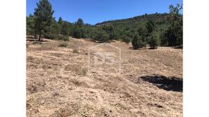 Terreno R�stico T0 - Vela, Guarda, Guarda - Miniatura: 8/11