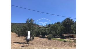 Terreno R�stico T0 - Vela, Guarda, Guarda - Miniatura: 10/11