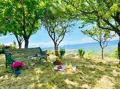 Moradia T1 - Cortio da Serra, Celorico da Beira, Guarda - Miniatura: 3/24