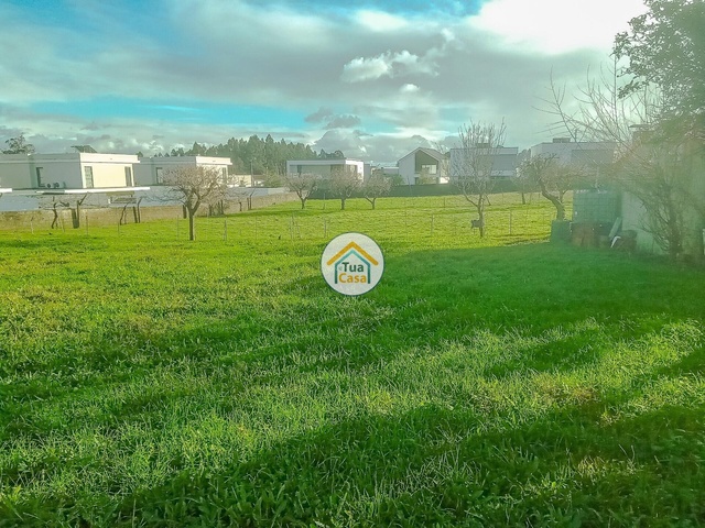 Terreno Rústico - Albergaria-a-Velha, Albergaria-a-Velha, Aveiro - Imagem grande