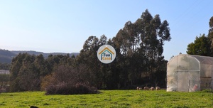 Terreno Rstico - Vila Nova de Famalico, Vila Nova de Famalico, Braga