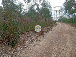 Terreno Rstico - gueda, gueda, Aveiro