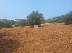 Terreno Rstico - So Brs de Alportel, So Brs de Alportel, Faro (Algarve)