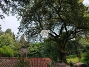 Moradia T5 - Viatodos, Barcelos, Braga - Miniatura: 1/9