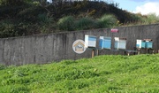 Terreno Rstico - Vila Nova de Famalico, Vila Nova de Famalico, Braga - Miniatura: 7/9