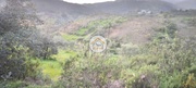 Terreno Rstico - Santa Catarina, Tavira, Faro (Algarve) - Miniatura: 1/9