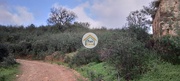 Terreno Rstico - Santa Catarina, Tavira, Faro (Algarve) - Miniatura: 4/9