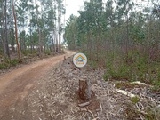 Terreno Rstico - gueda, gueda, Aveiro - Miniatura: 2/9