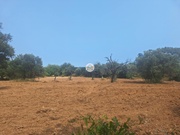Terreno Rstico - So Brs de Alportel, So Brs de Alportel, Faro (Algarve) - Miniatura: 1/9