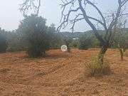 Terreno Rstico - So Brs de Alportel, So Brs de Alportel, Faro (Algarve) - Miniatura: 2/9