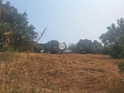 Terreno Rstico - So Brs de Alportel, So Brs de Alportel, Faro (Algarve) - Miniatura: 4/9