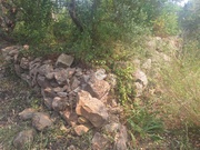 Terreno Rstico - So Brs de Alportel, So Brs de Alportel, Faro (Algarve) - Miniatura: 5/9