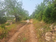 Terreno Rstico - So Brs de Alportel, So Brs de Alportel, Faro (Algarve) - Miniatura: 6/9