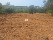 Terreno Rstico - So Brs de Alportel, So Brs de Alportel, Faro (Algarve) - Miniatura: 7/9