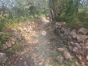 Terreno Rstico - So Brs de Alportel, So Brs de Alportel, Faro (Algarve) - Miniatura: 9/9