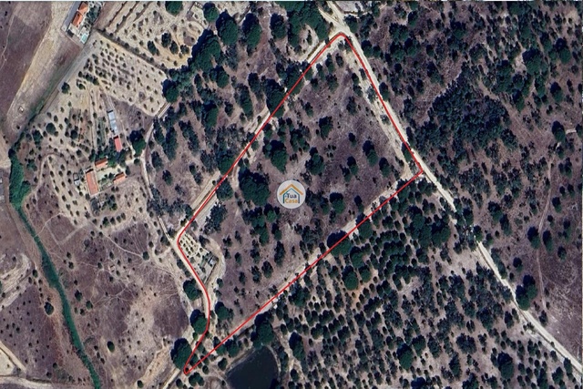 Terreno Rstico - Cortiadas de Lavre, Montemor-o-Novo, vora - Imagem grande