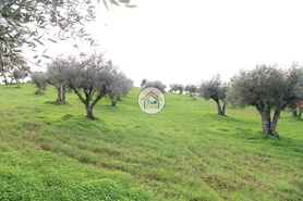 Terreno Rstico - No Definido, Redondo, vora