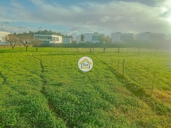 Terreno Rstico - Albergaria-a-Velha, Albergaria-a-Velha, Aveiro