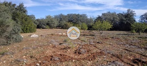 Terreno Rstico - So Brs de Alportel, So Brs de Alportel, Faro (Algarve)