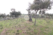 Terreno Rstico - No Definido, Redondo, vora - Miniatura: 6/9
