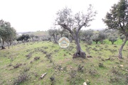 Terreno Rstico - No Definido, Redondo, vora - Miniatura: 7/9