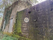 Terreno Rstico - Bodiosa, Viseu, Viseu - Miniatura: 4/9