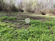 Terreno Rstico - Bodiosa, Viseu, Viseu - Miniatura: 8/9