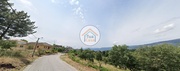 Terreno Rstico - Mous e Lamares, Vila Real, Vila Real - Miniatura: 4/9