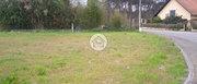 Terreno Rstico - Fonte de Angeo, Vagos, Aveiro - Miniatura: 6/9