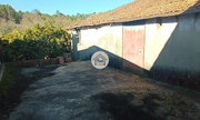 Moradia T4 - Campo, Viseu, Viseu - Miniatura: 7/9