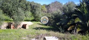 Terreno Rstico - Salir, Loul, Faro (Algarve) - Miniatura: 5/9