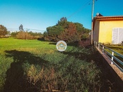 Terreno Rstico - Ssa, Vagos, Aveiro - Miniatura: 7/9