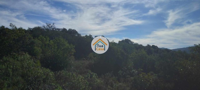 Terreno Rústico - São Brás de Alportel, São Brás de Alportel, Faro (Algarve) - Imagem grande