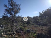 Terreno Rstico - So Brs de Alportel, So Brs de Alportel, Faro (Algarve) - Miniatura: 6/9