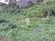 Terreno Rstico - Calheta (Madeira), Calheta (Madeira), Ilha da Madeira - Miniatura: 9/9