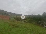 Terreno Rstico - Ceira, Coimbra, Coimbra - Miniatura: 5/9