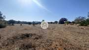 Terreno Rstico - Faro, Faro, Faro (Algarve) - Miniatura: 1/9