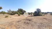 Terreno Rstico - Faro, Faro, Faro (Algarve) - Miniatura: 3/9