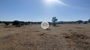 Terreno Rstico - Faro, Faro, Faro (Algarve) - Miniatura: 5/9