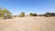Terreno Rstico - Faro, Faro, Faro (Algarve) - Miniatura: 7/9