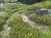 Terreno Rstico - Carreira, Barcelos, Braga - Miniatura: 1/9