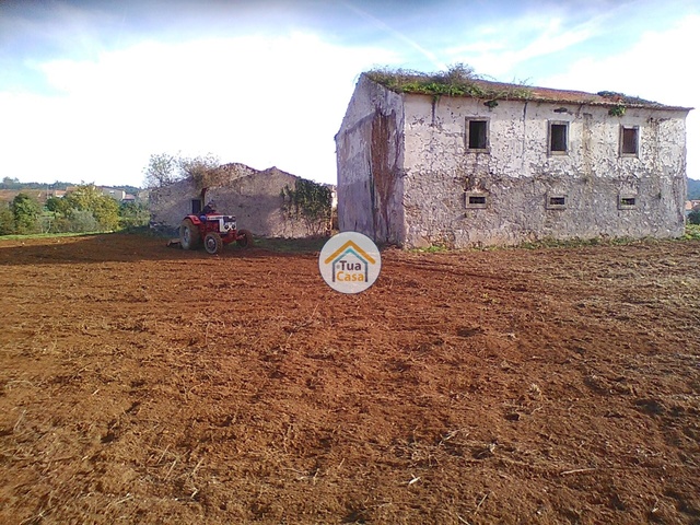Moradia T1 - Figueira de Lorvão, Penacova, Coimbra - Imagem grande
